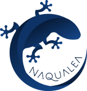 Naqualea